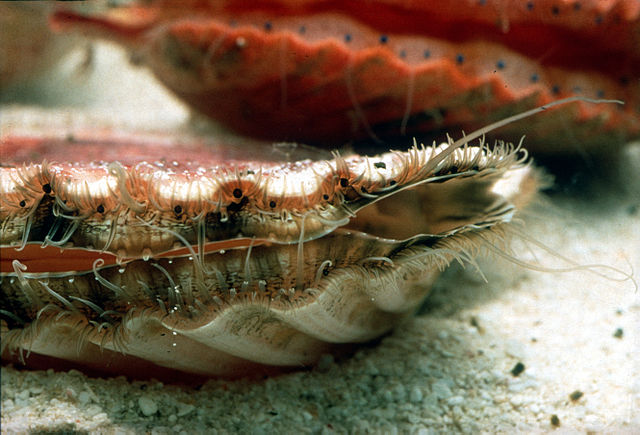 Carátula del documentu 2