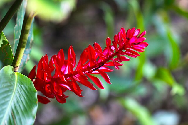 Carátula del documentu 6